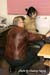 100_4176 copy